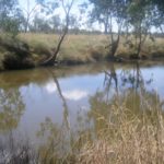 Harry's Creek runs deep and free all year round
