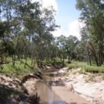 Silted up waterhole