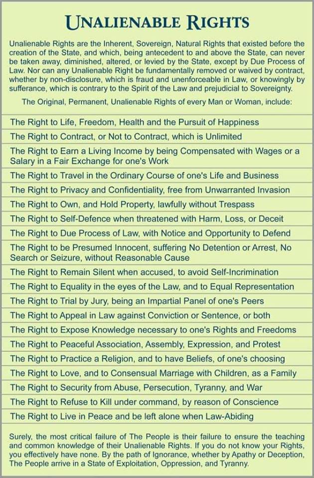 Our Inalienable-Rights